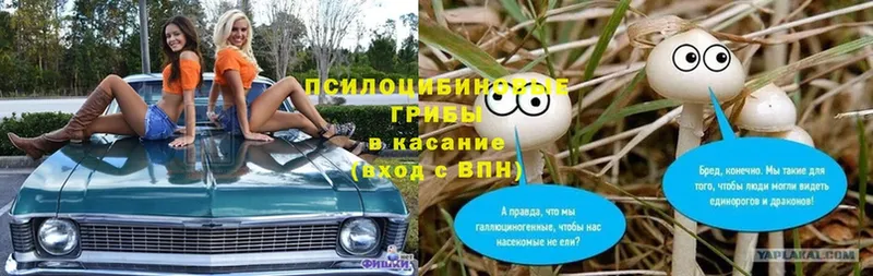 Кетамин Цоци-Юрт